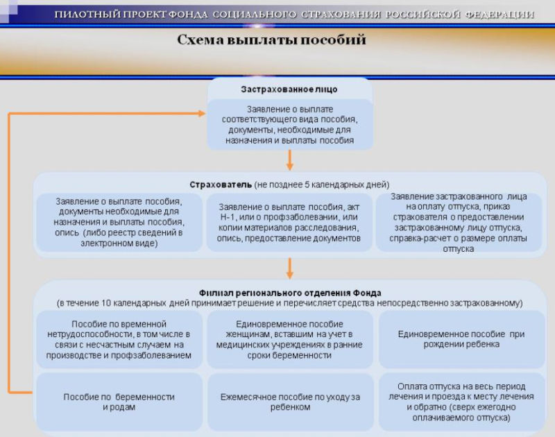 Приказ Фонда социального страхования РФ (Российской Федерации) 335 действовал на протяжении одного года как пилотный проект 